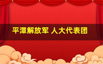 平潭解放军 人大代表团